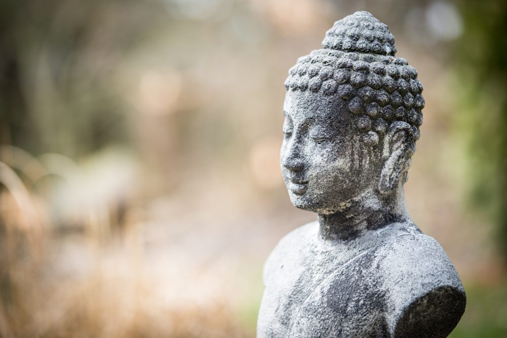 Lire la suite à propos de l’article L&rsquo;amour force de vie et de transformation