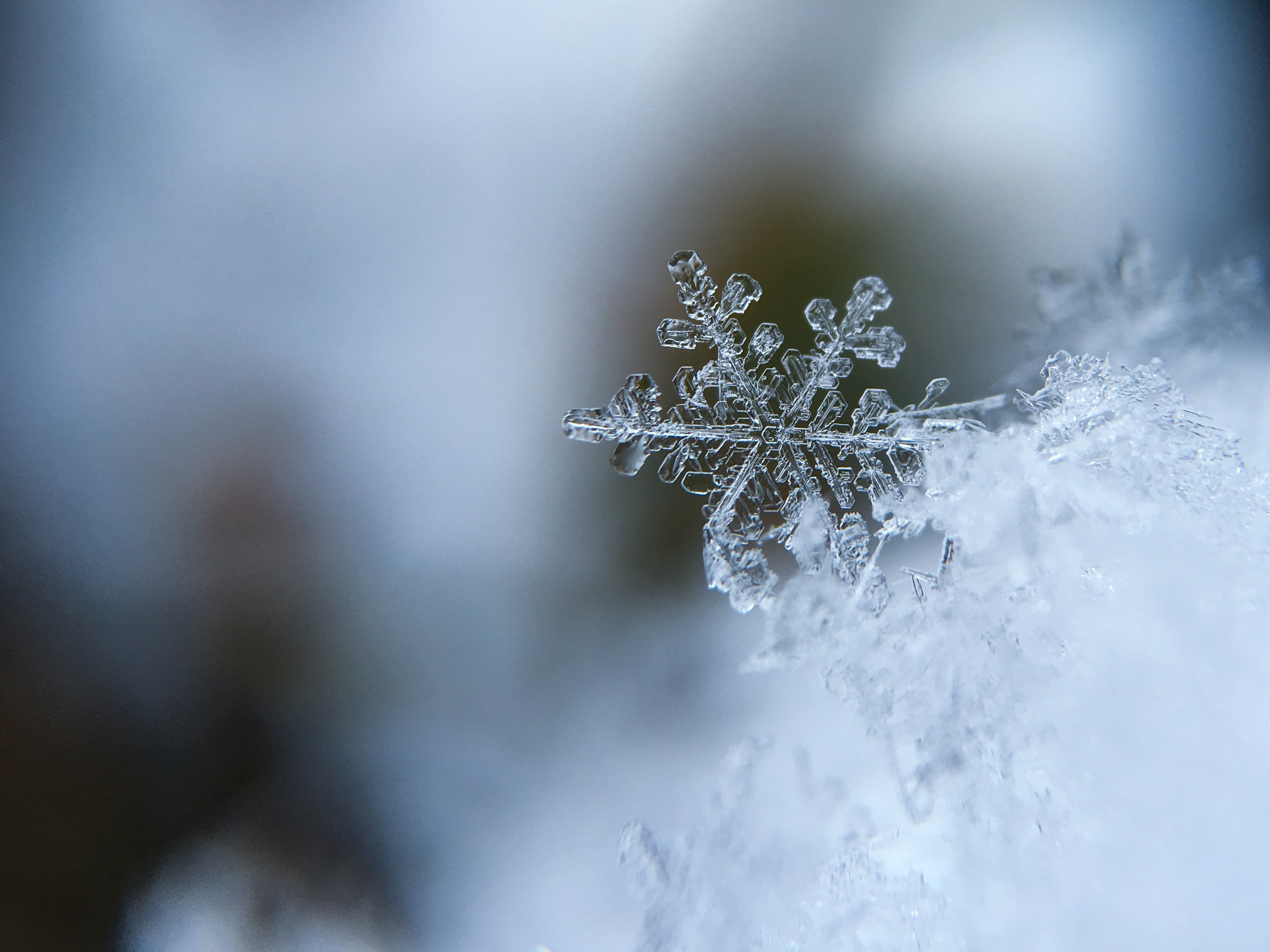 Lire la suite à propos de l’article Joyeux Noël 2019